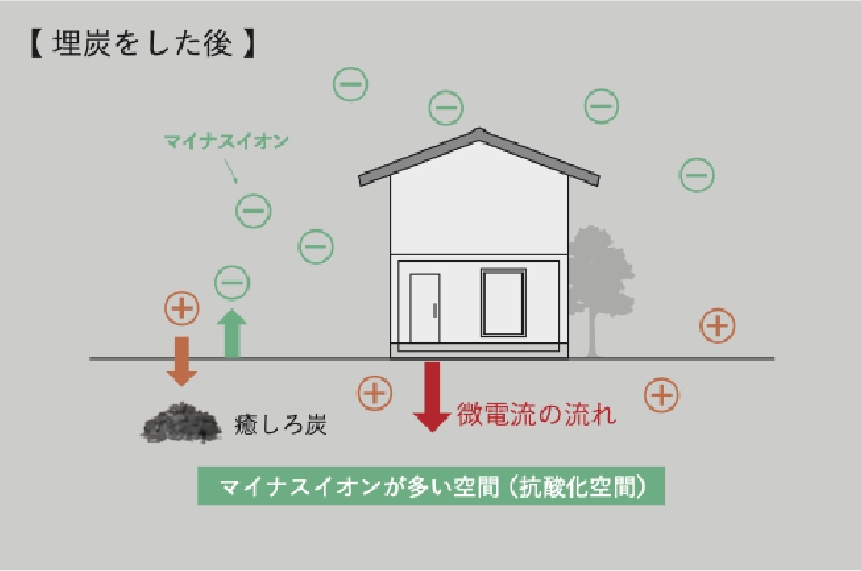 自然の力を活かす設計思想