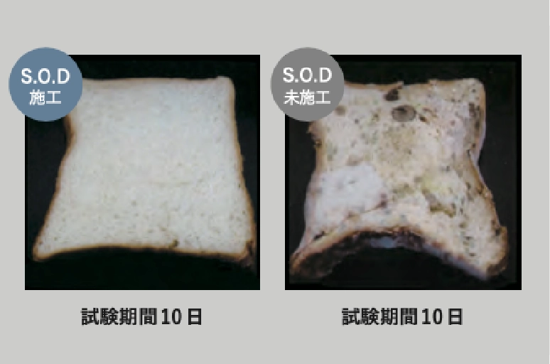 素材に宿るやさしさ