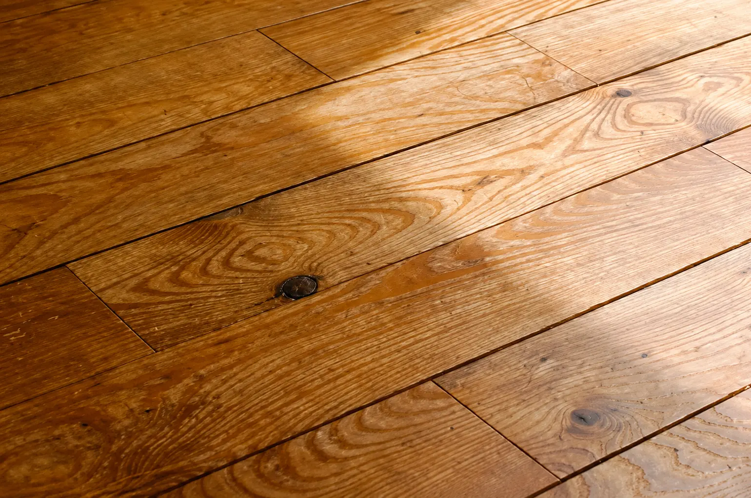 自然の力を活かす設計思想